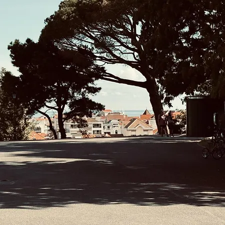 Maison Cosy, Wifi Terrasse, Proche Plage, Gare, Centre * 아르카숑