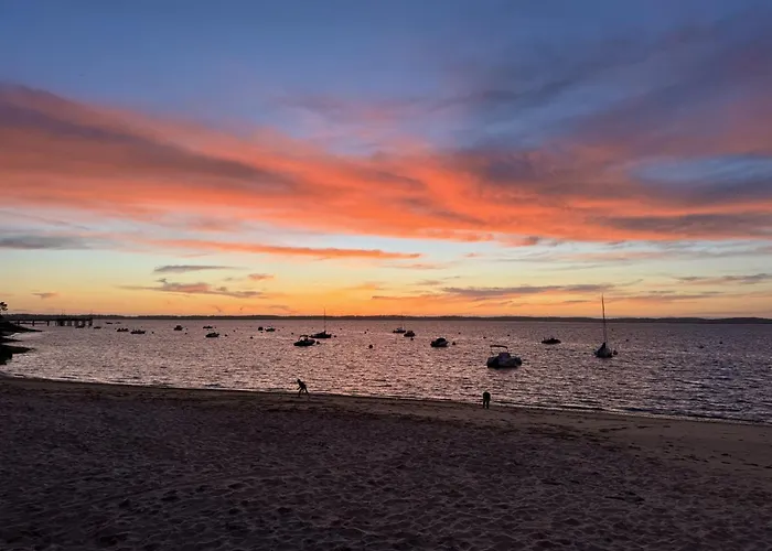 Maison Cosy, Wifi Terrasse, Proche Plage, Gare, Centre 아르카숑