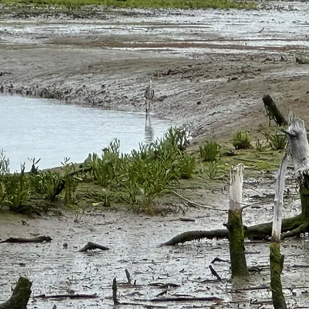 Tatil Evi Maison Cosy, Wifi Terrasse, Proche Plage, Gare, Centre *