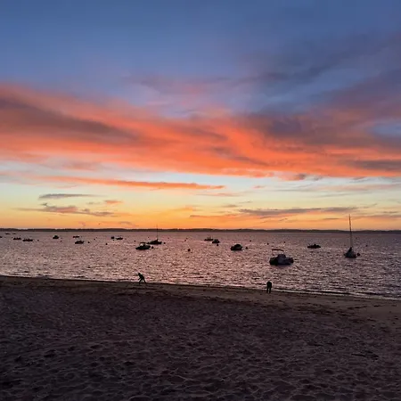 Maison Cosy, Wifi Terrasse, Proche Plage, Gare, Centre Arcachon